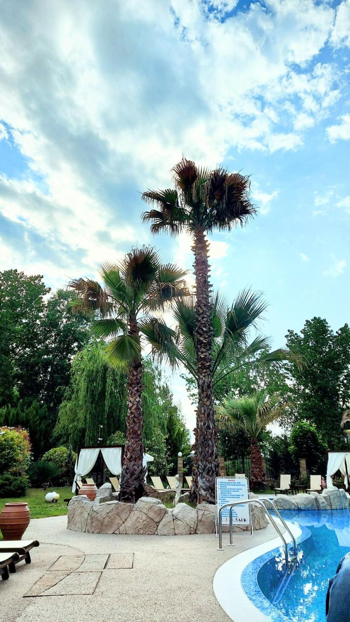 Апартаменты Aphrodite Roce Slantschew brjag Exterior foto